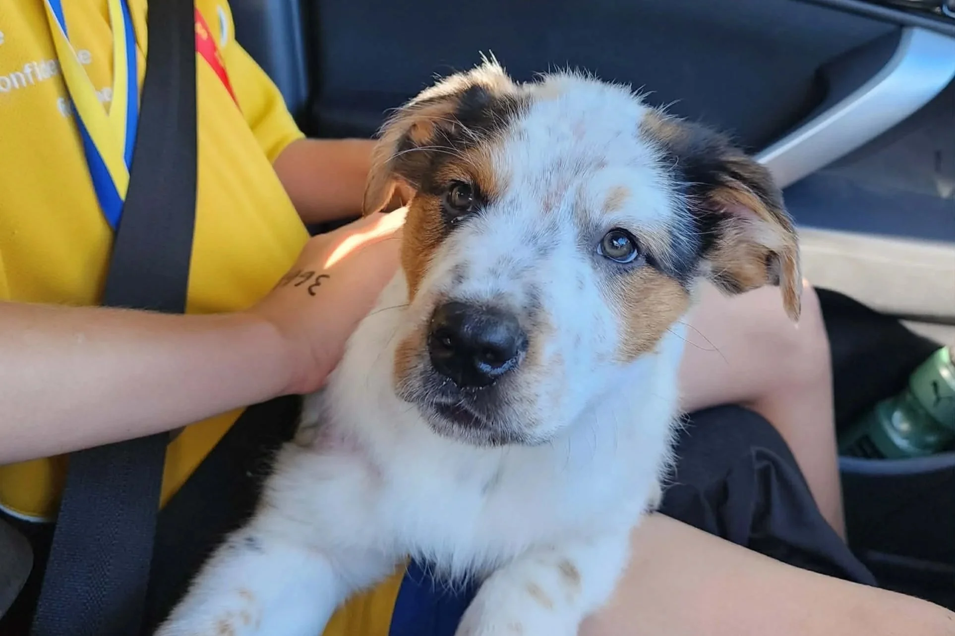 Axel **Settling in with my new family**