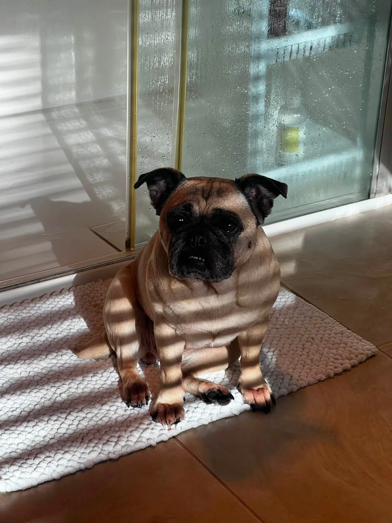 missy5.jpg