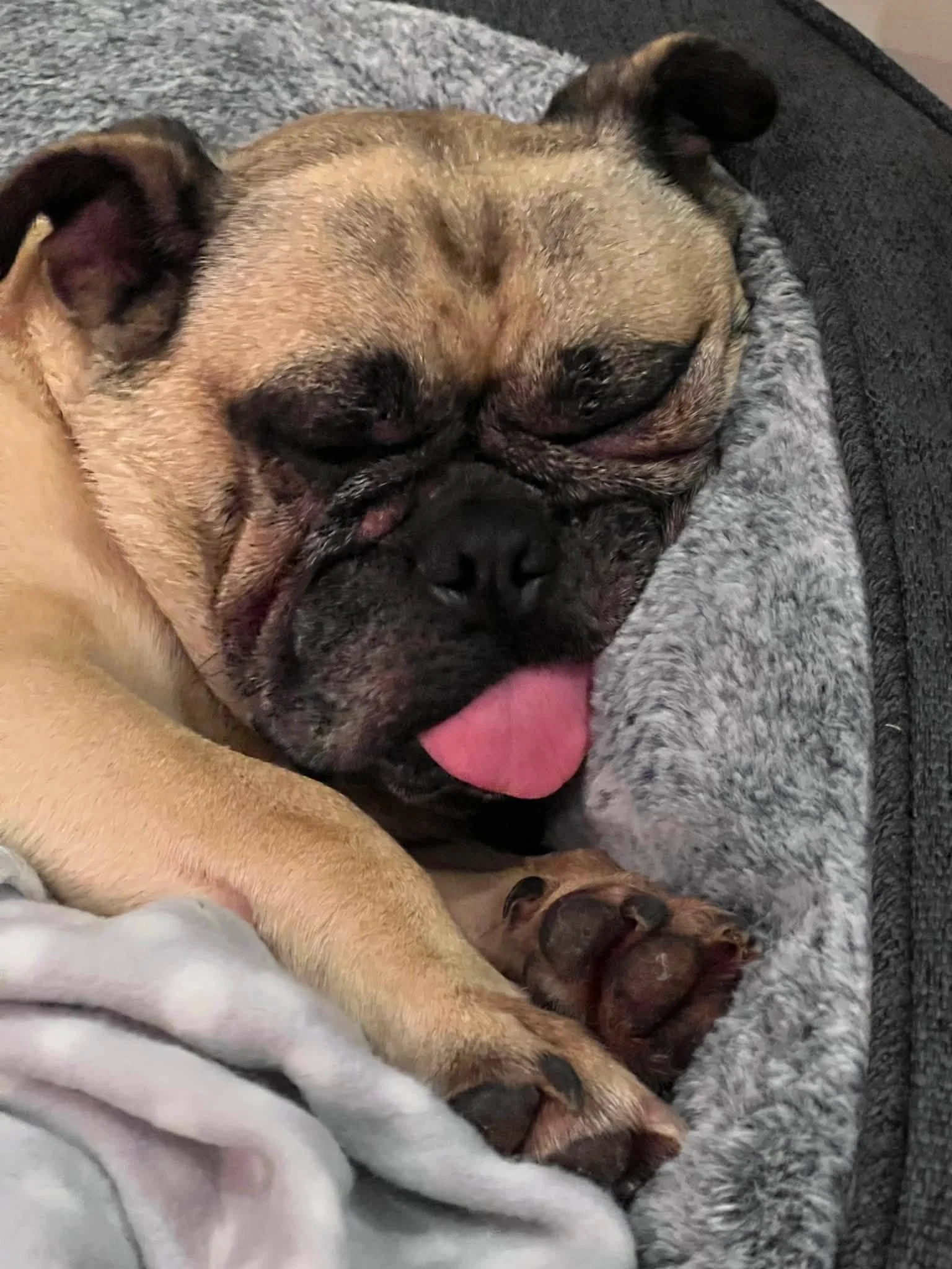 missy2.jpg