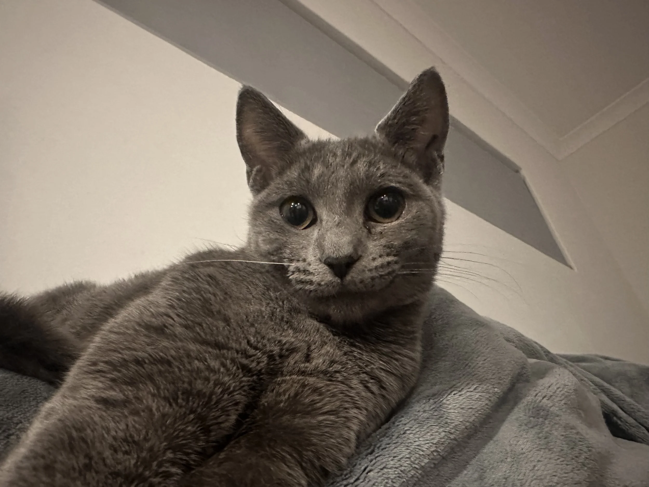 IMG_8531.jpeg