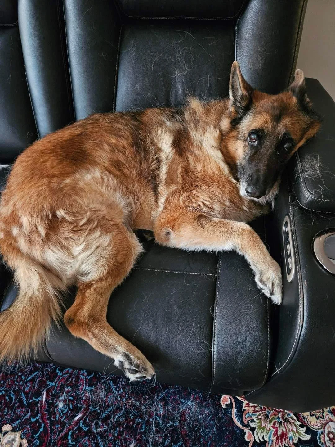 Tilly 4.jpg