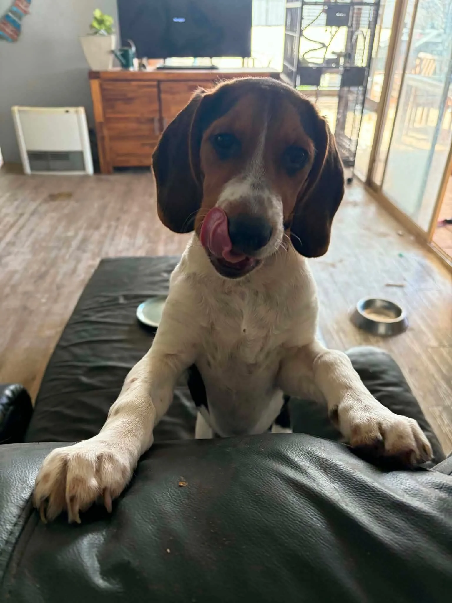 otis5.jpg