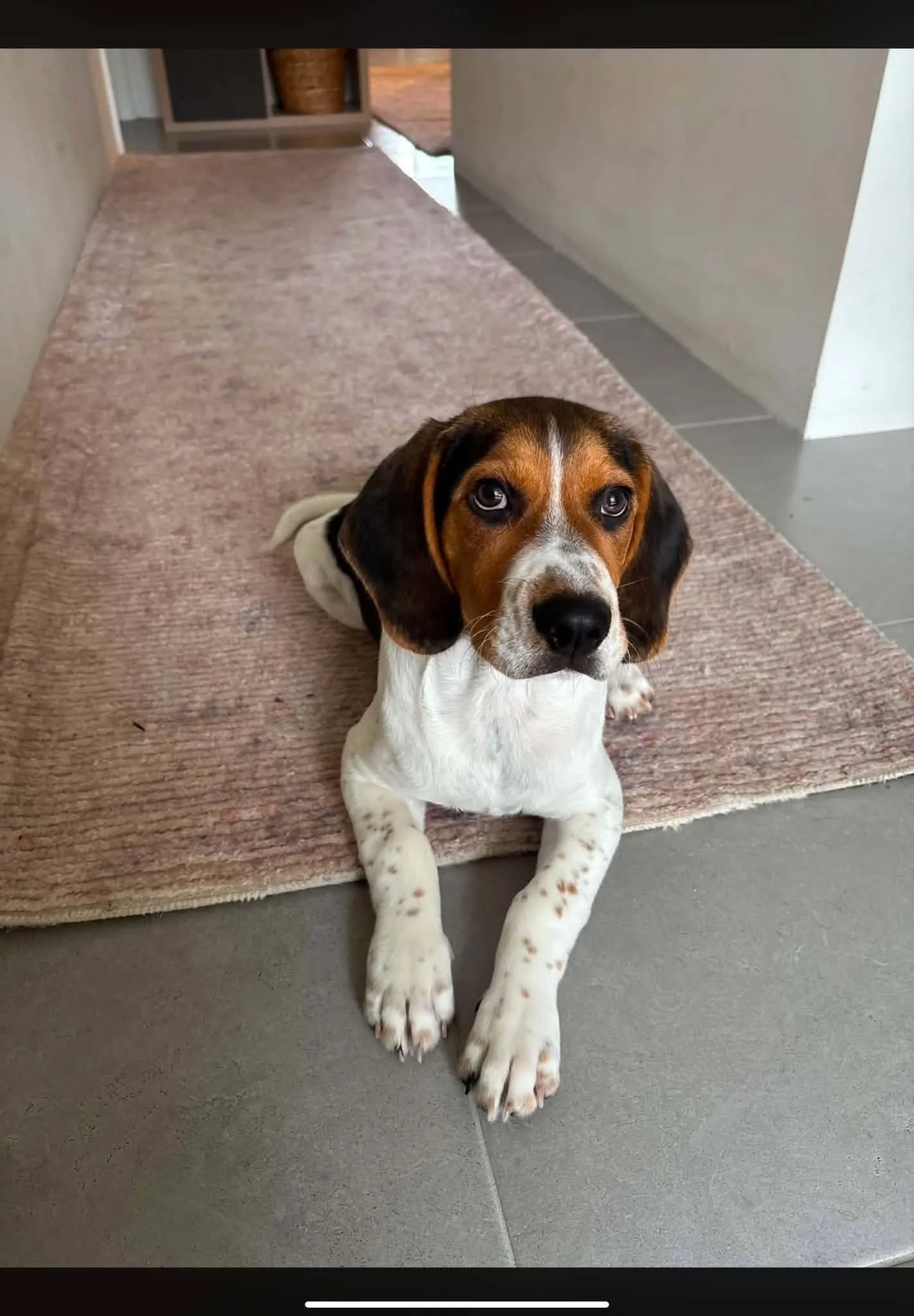 otis4.jpg