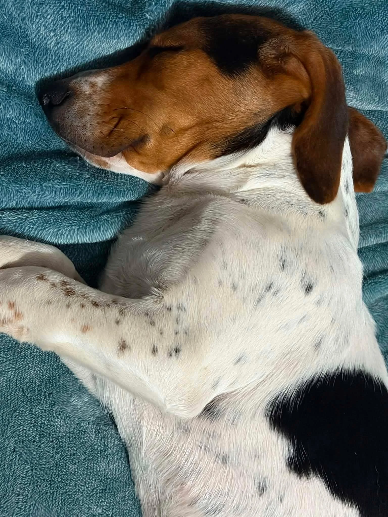 otis2.jpg