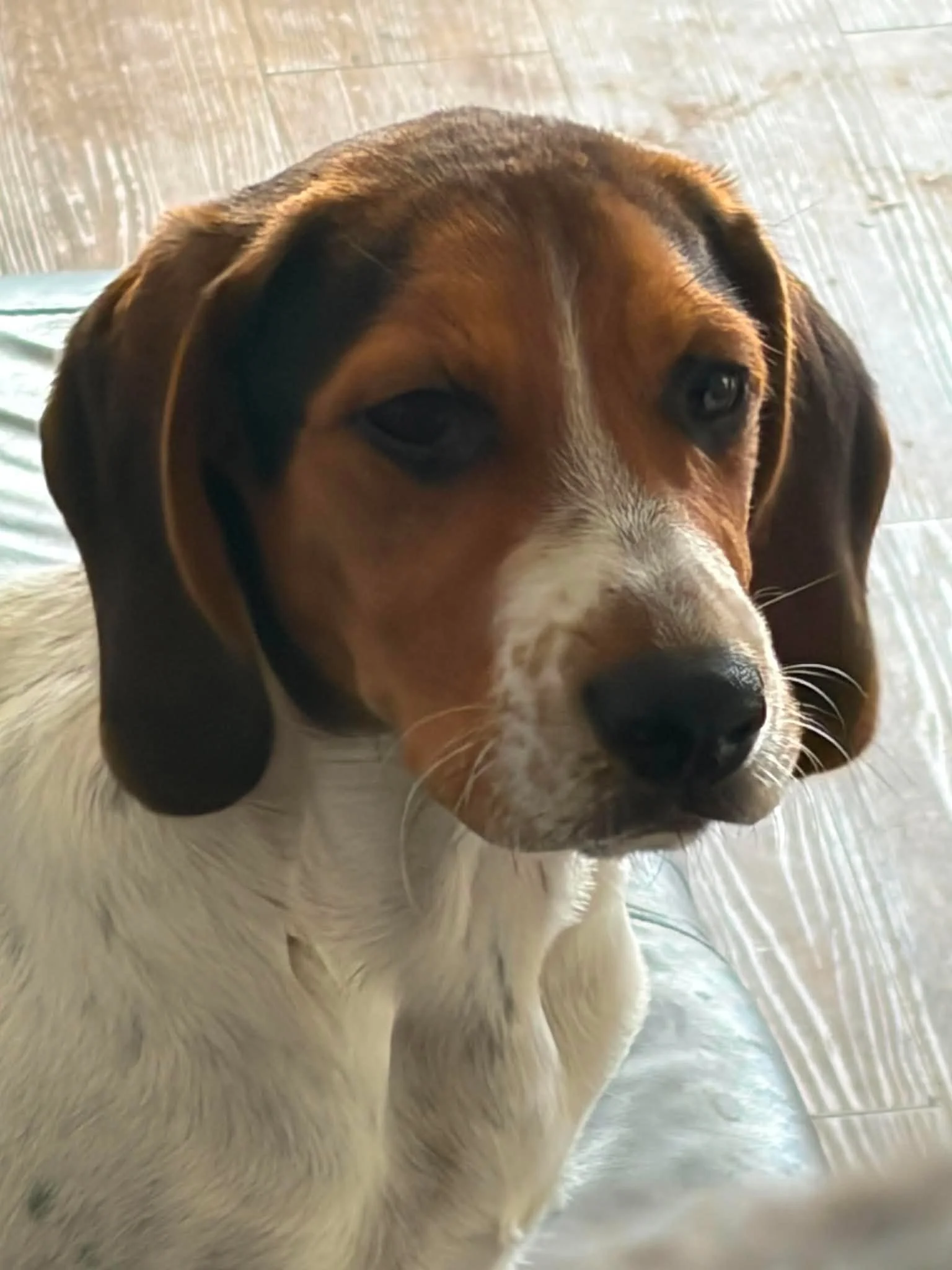 otis1.jpg