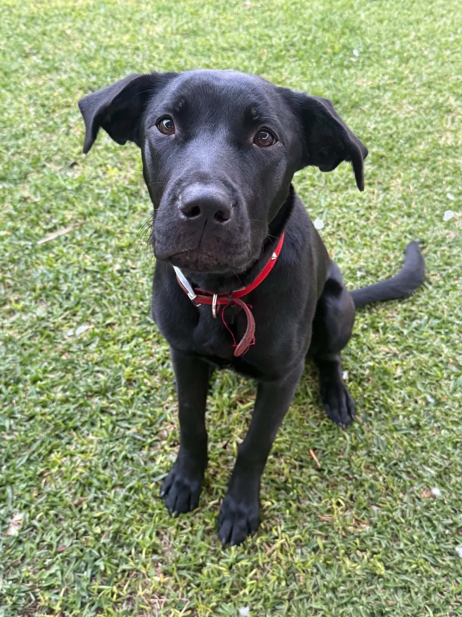 6daa1978-70a2-4eaf-94c7-5c2b25a10f0c.jpg