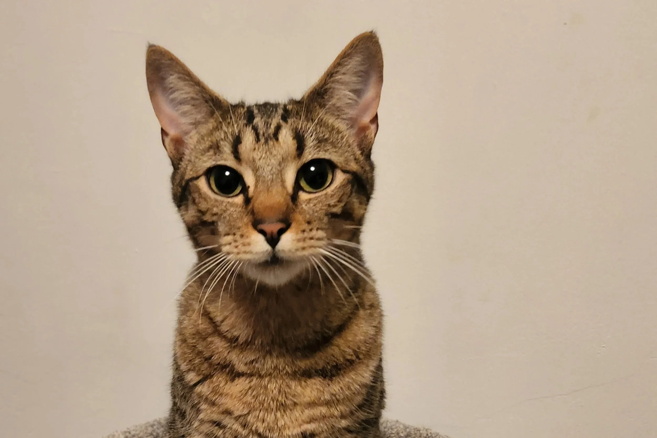 Topaz **Under 12 months**