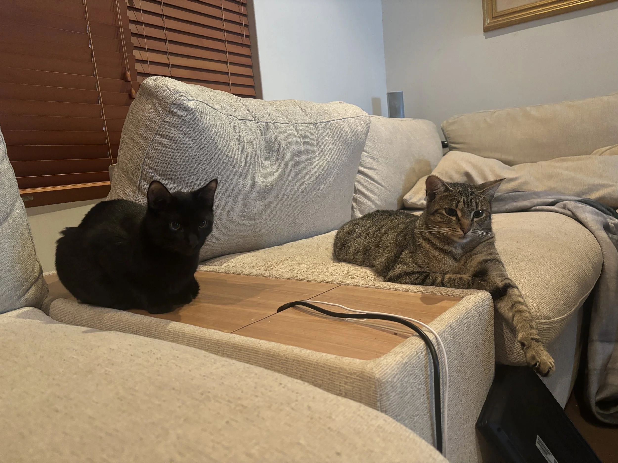 IMG_7247.jpeg