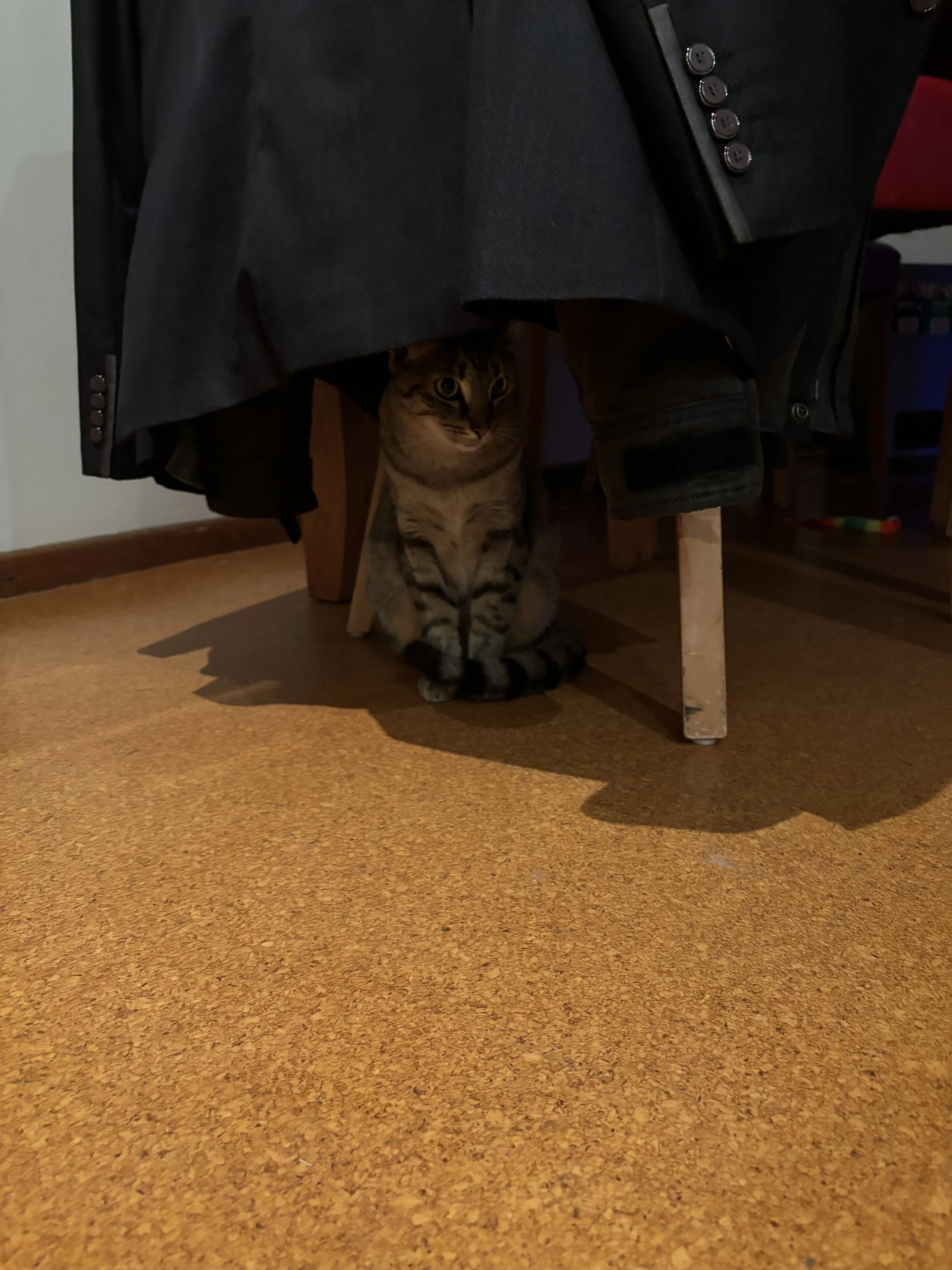 IMG_7211.jpeg