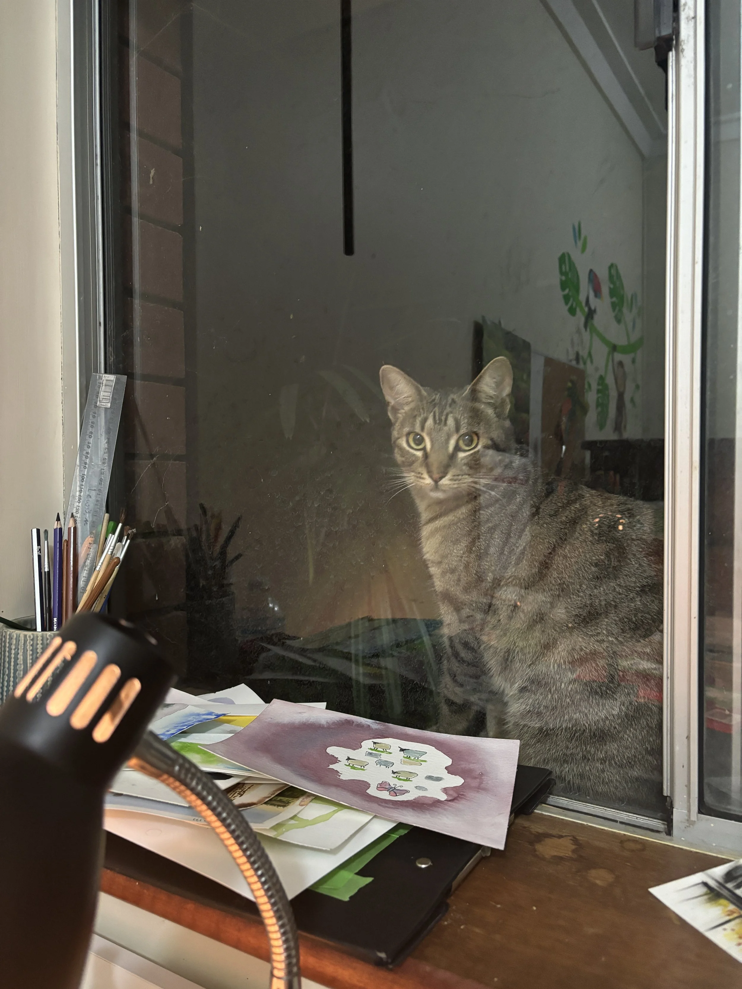 IMG_7258.jpeg