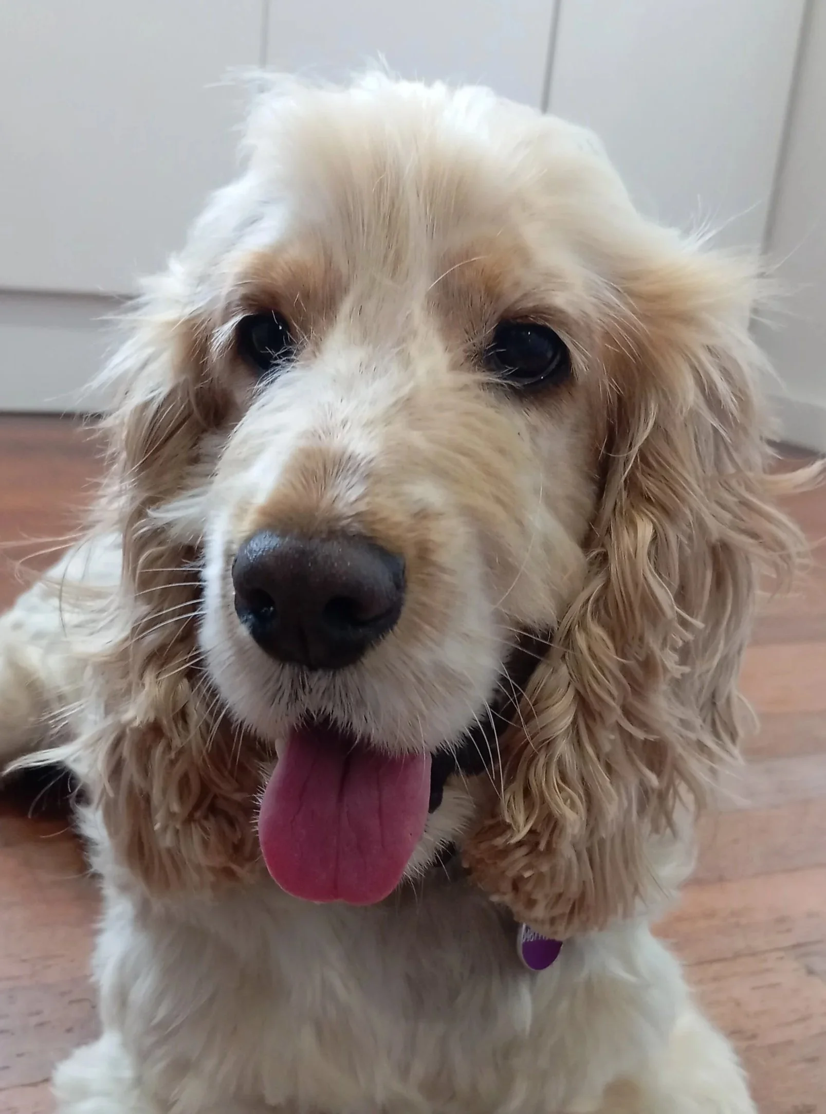 Otis