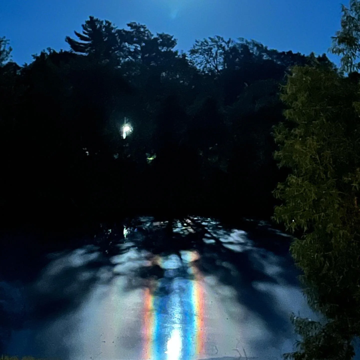 moonlightreflection.jpg