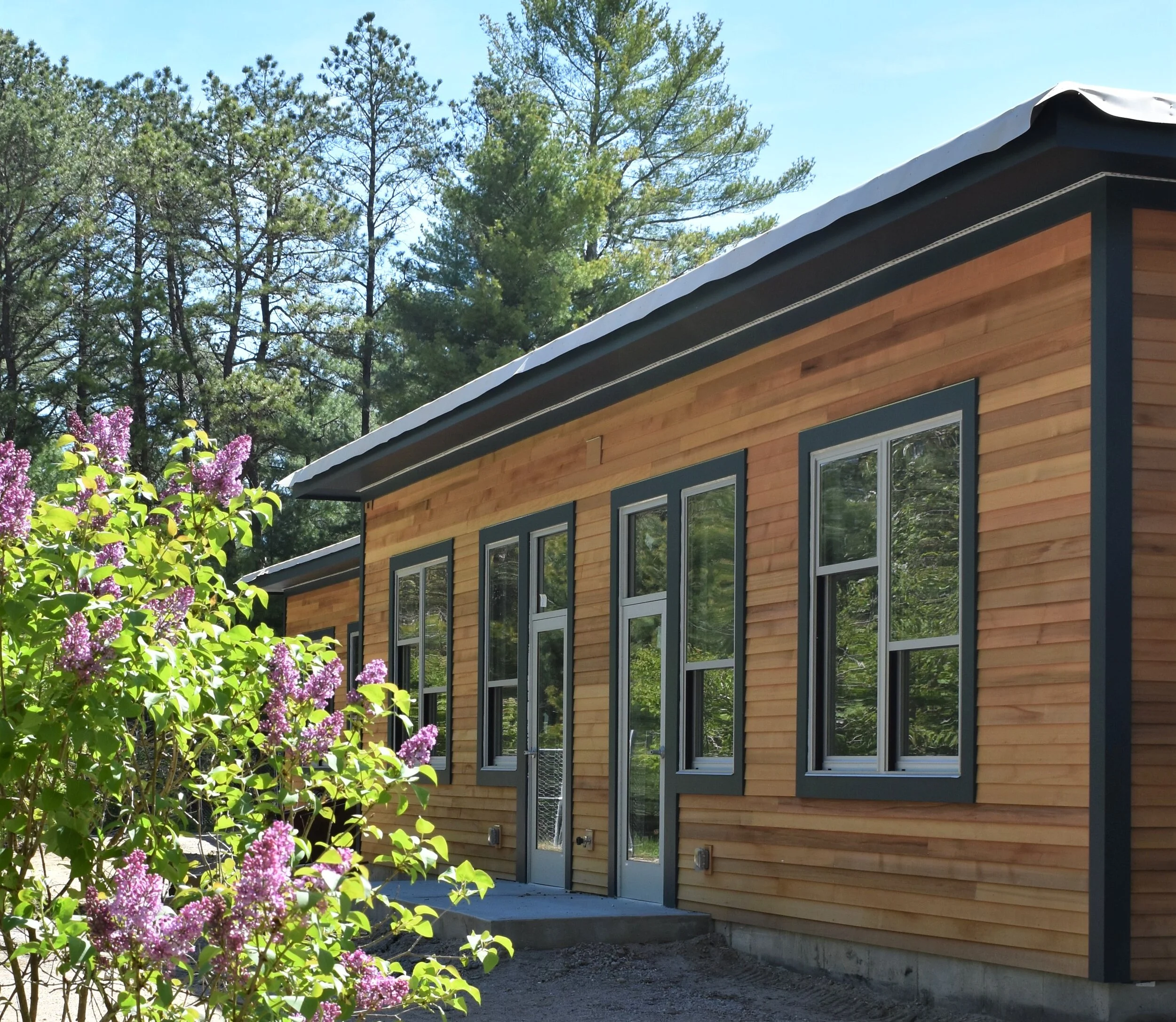 What We Do Meadowbrook School