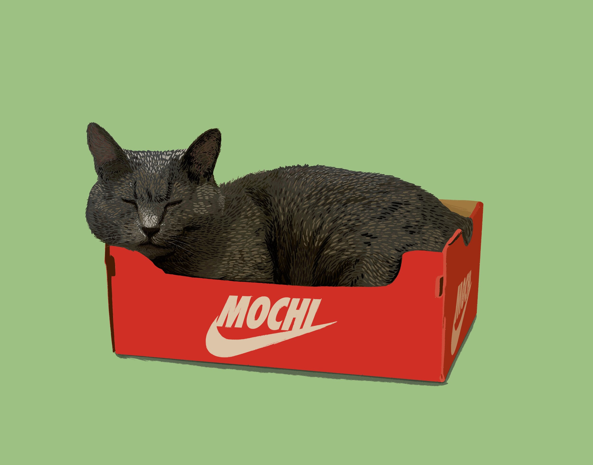 mochi-sage.jpg