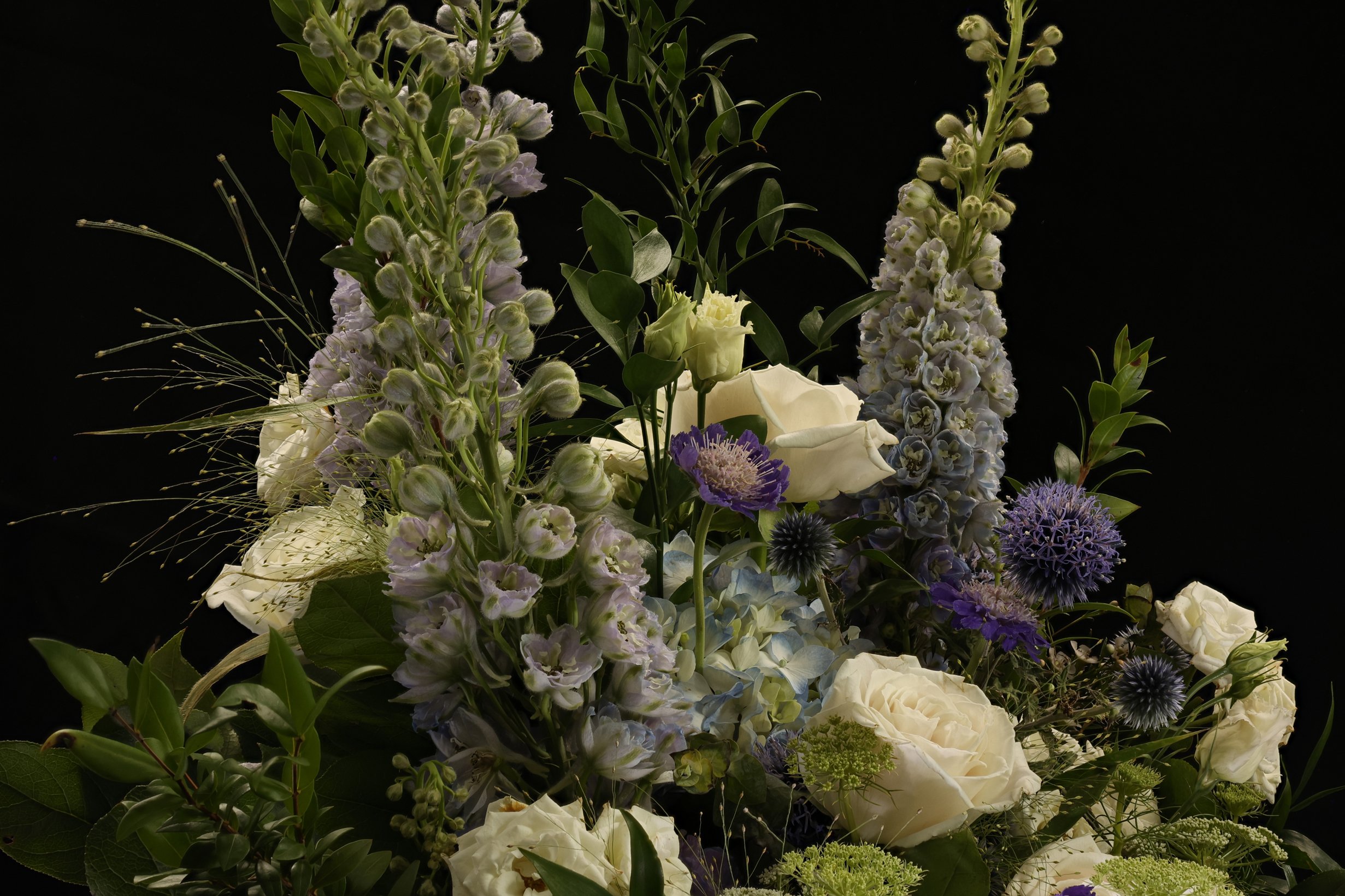 2022-08-01-RIDLEY-Flowers-focus-D.jpg