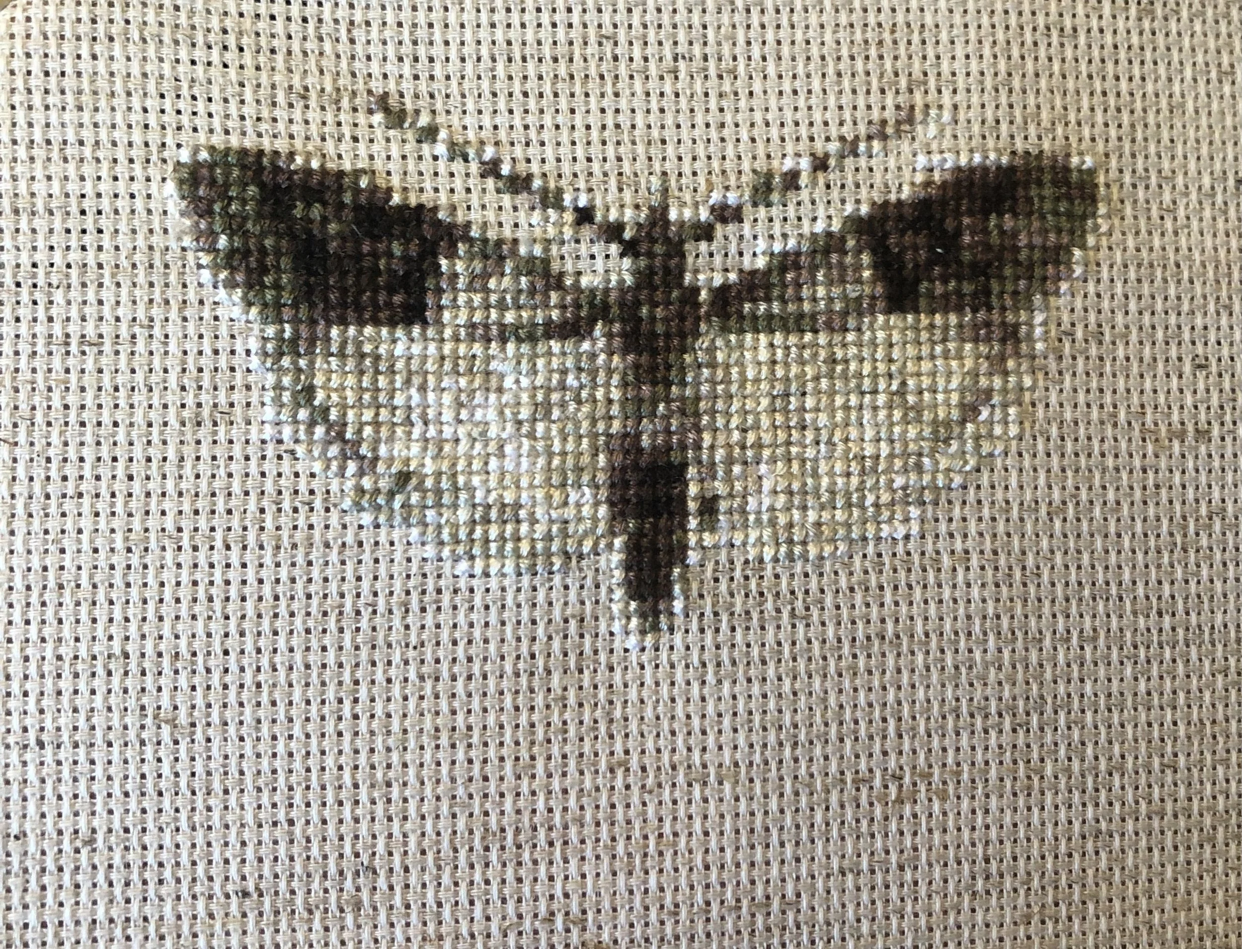 Plodia interpunctellaa