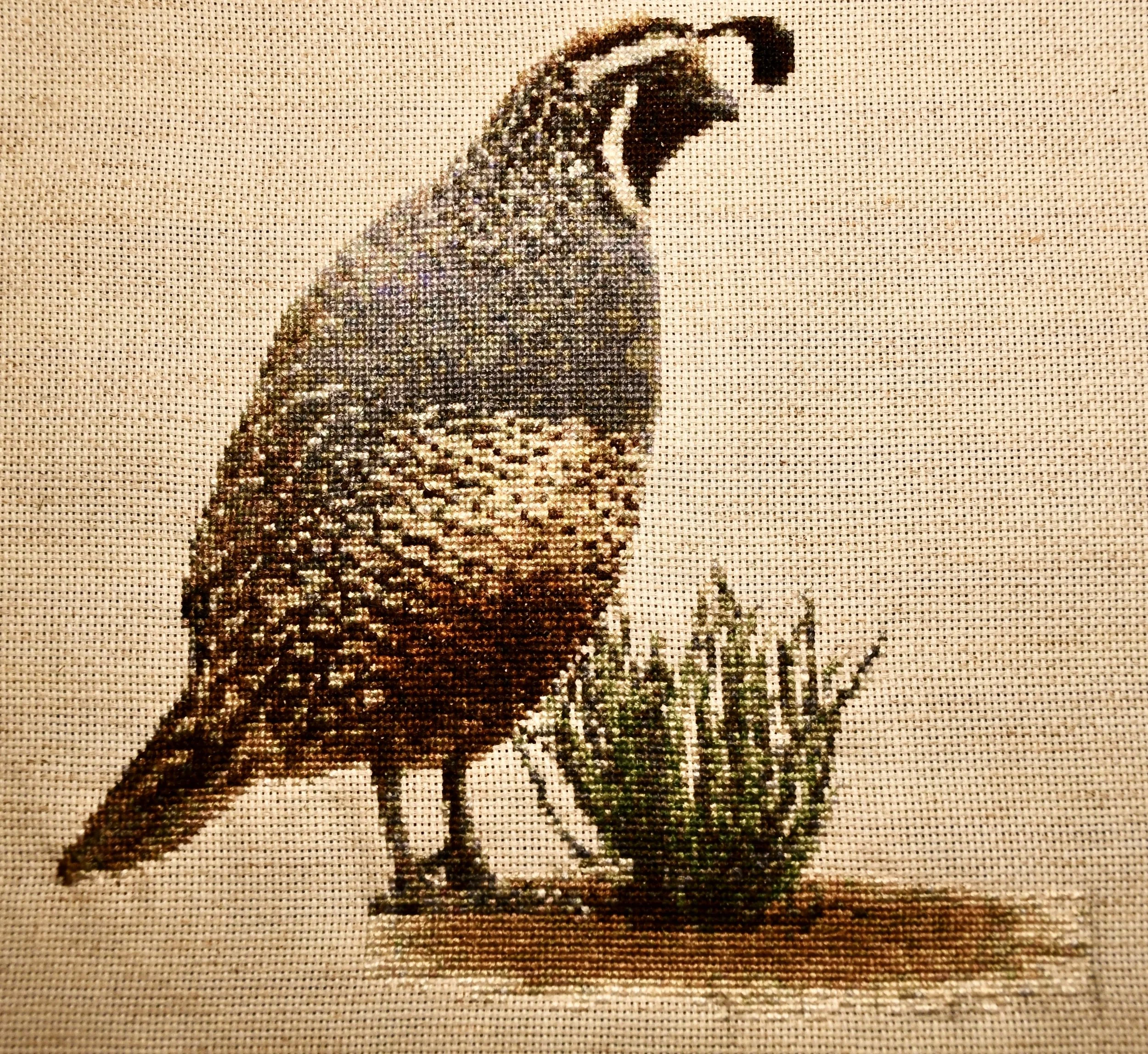 California quail and baby sagebrush
Auctioned at the 2025 Golden Gate Bird Alliance bird-a-thon art auction
