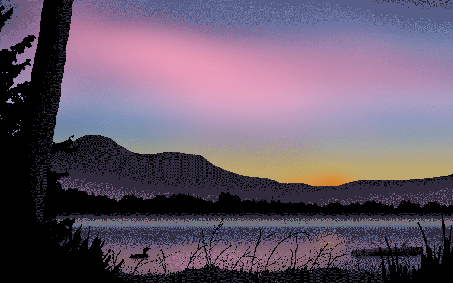 Loon-1-sunset.gif