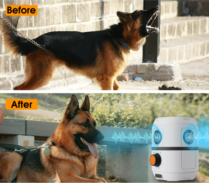 Before and after bark control