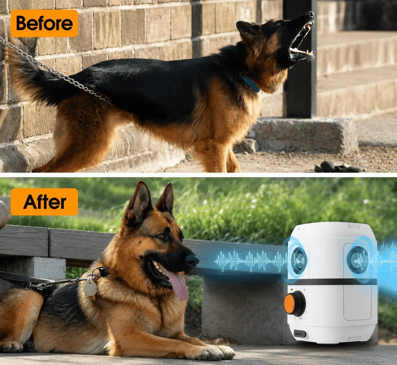 Before and After HUSH U14 Bark Stop Device