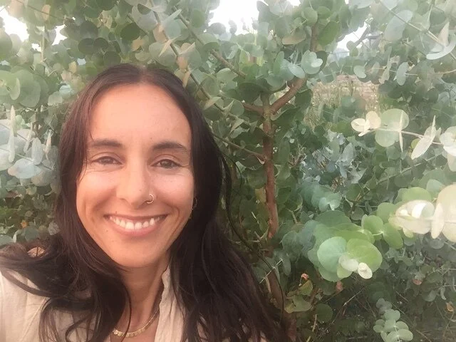 How Farmers Markets Could Support More Local Growers