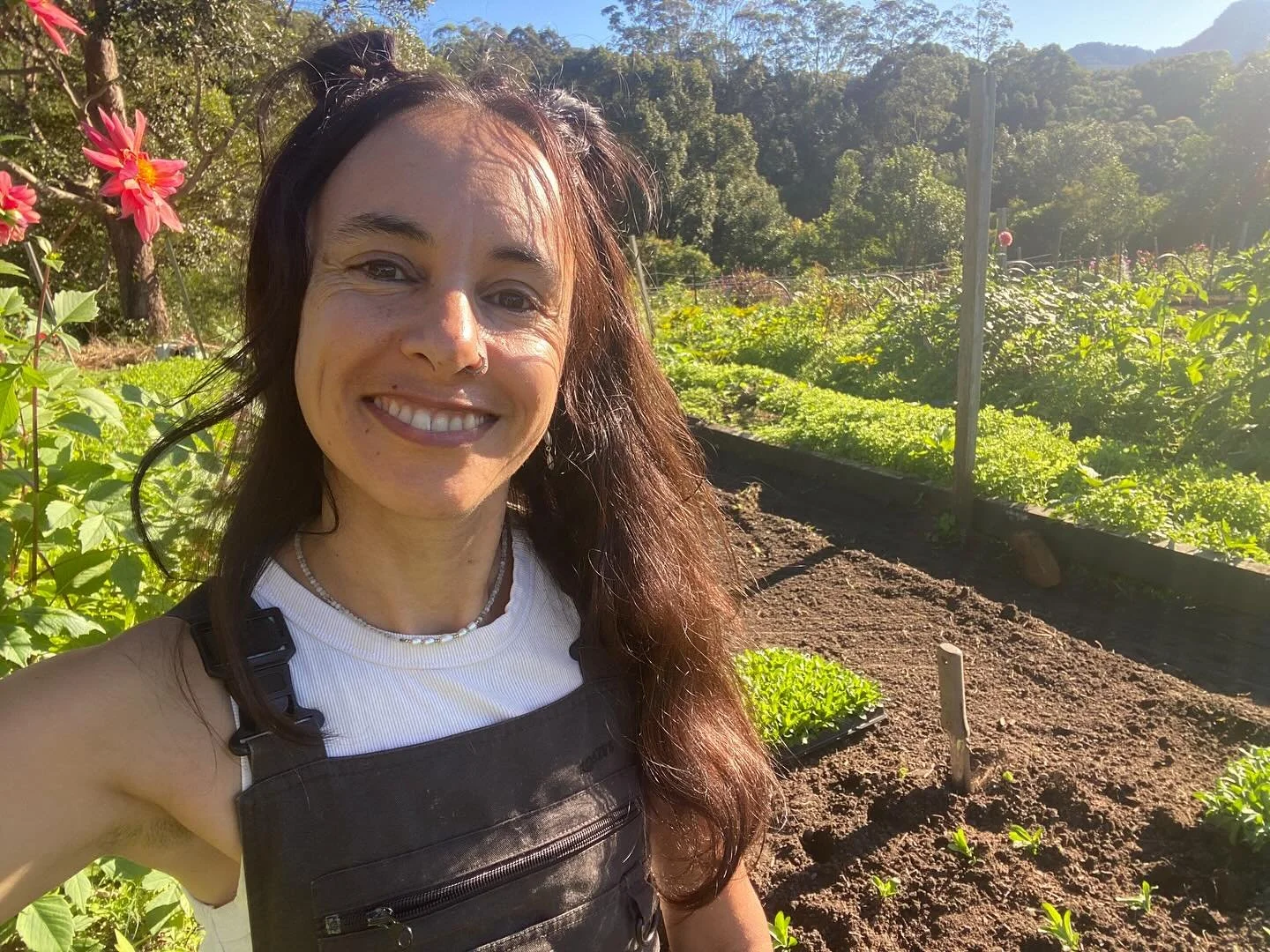 Loving the winter sun … planting sweet William @calderaflowerfarm
#farmfreshflowers
#murwillumbahflowers
#goldcoastflowers
#organicallygrown
#grownnotflown