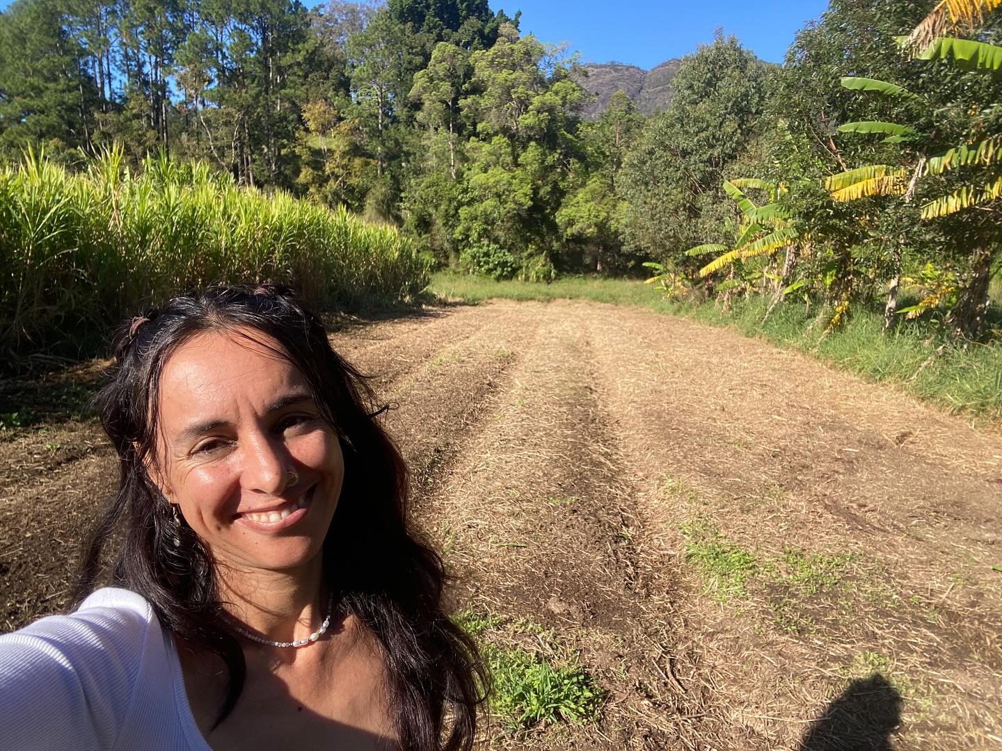 Well it&rsquo;s finally happening flower friends!!!

After 5 years of working as an Ag Consultant across multiple farms &hellip; I have leased land on my friends farm Sylva Lining Organics to start up my own production again, just outside of Murwillu