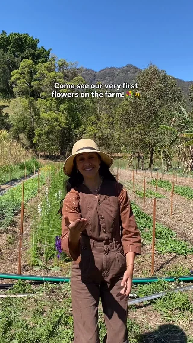 Our very first blooms on the farm! πΈ I can’t wait to see the whole field bursting with flowers soon! ππ
#flowers #bouquet #bees #flowerfarm #farm #farming
