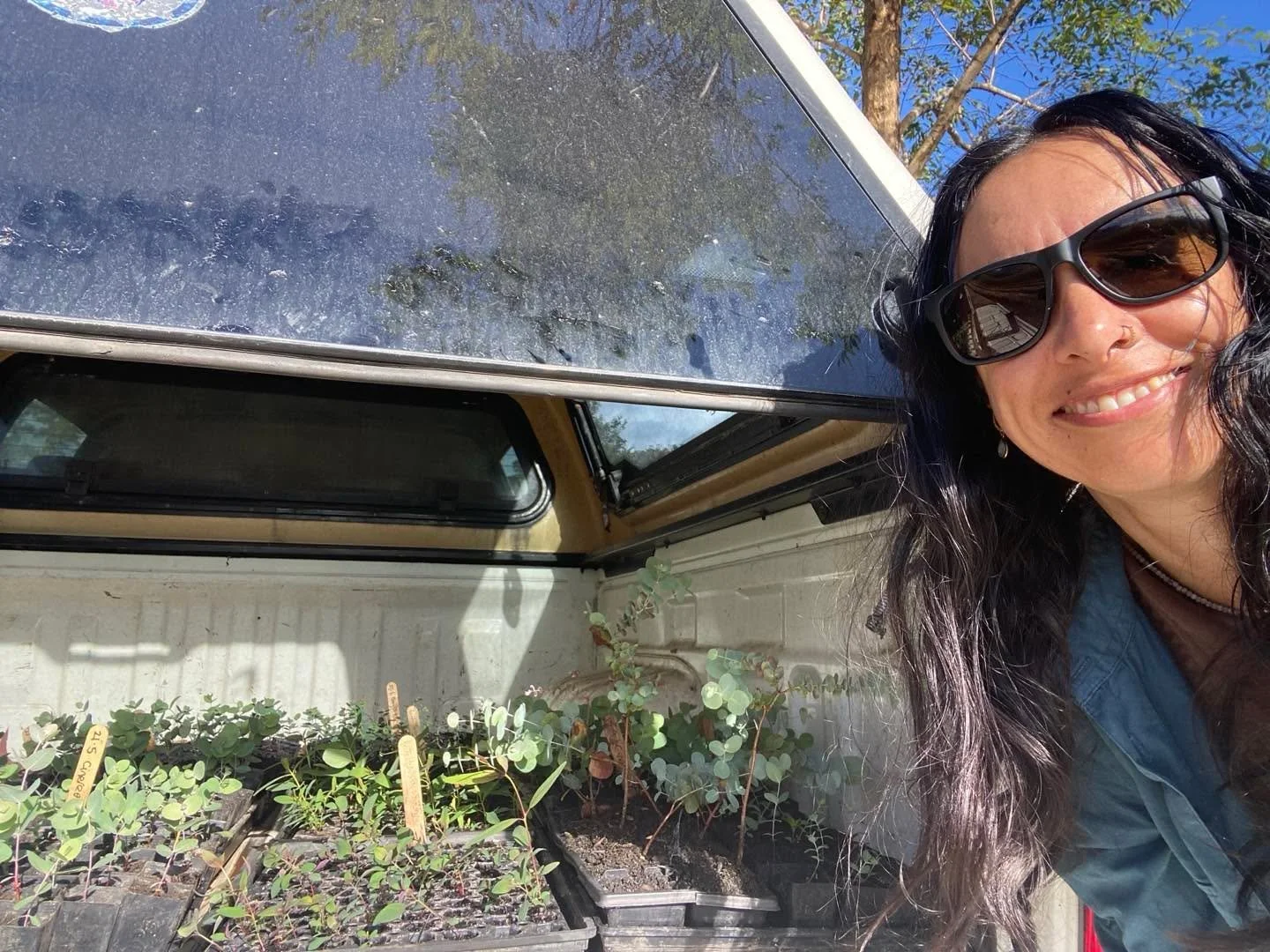 Soooo excited ✨⭐️✨&hellip; today I am starting to get in some of my foliage crops, I have 4 different varieties to begin with 🌱🍃🌿

#beefriendlyblooms
#flowerpickingtours
#farmfreshflowers
#wholesaleflowers
#organicallygrown