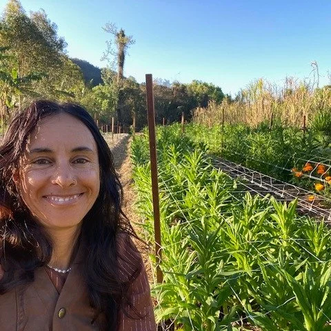 Updates 🌟 ... First flowers are in!!!!

Poppies
Marigolds
Calendula
Larkspur

With my first block now planted, I am moving across into my wholesale block. 

Looking to connect with businesses wanting to work with my farm (currently in the process of