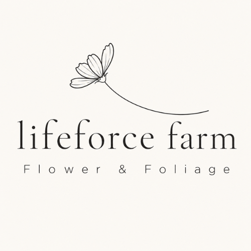 Tweed Valley Flower Farm