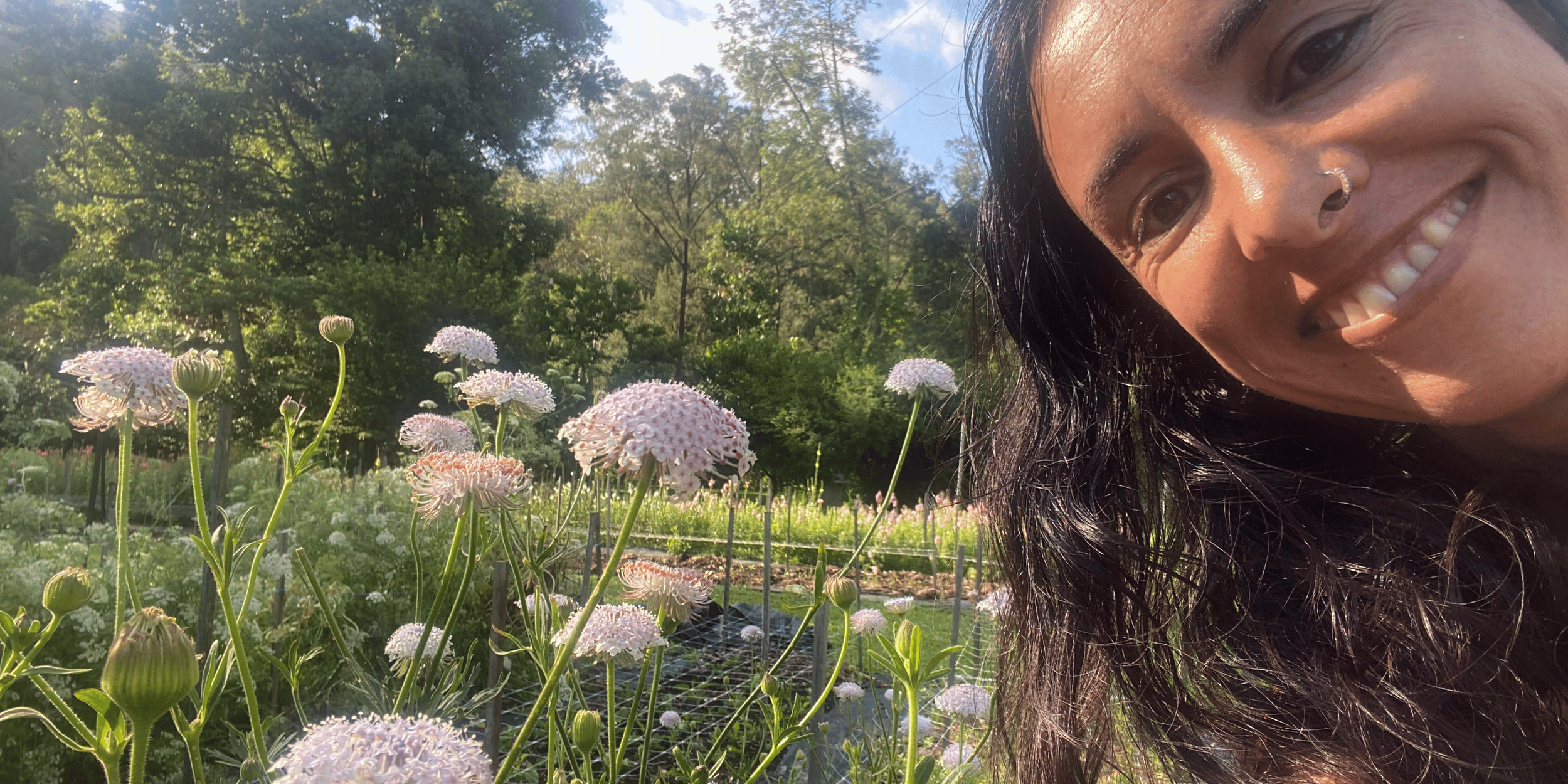 Wholesale Seasonal Flower Farm