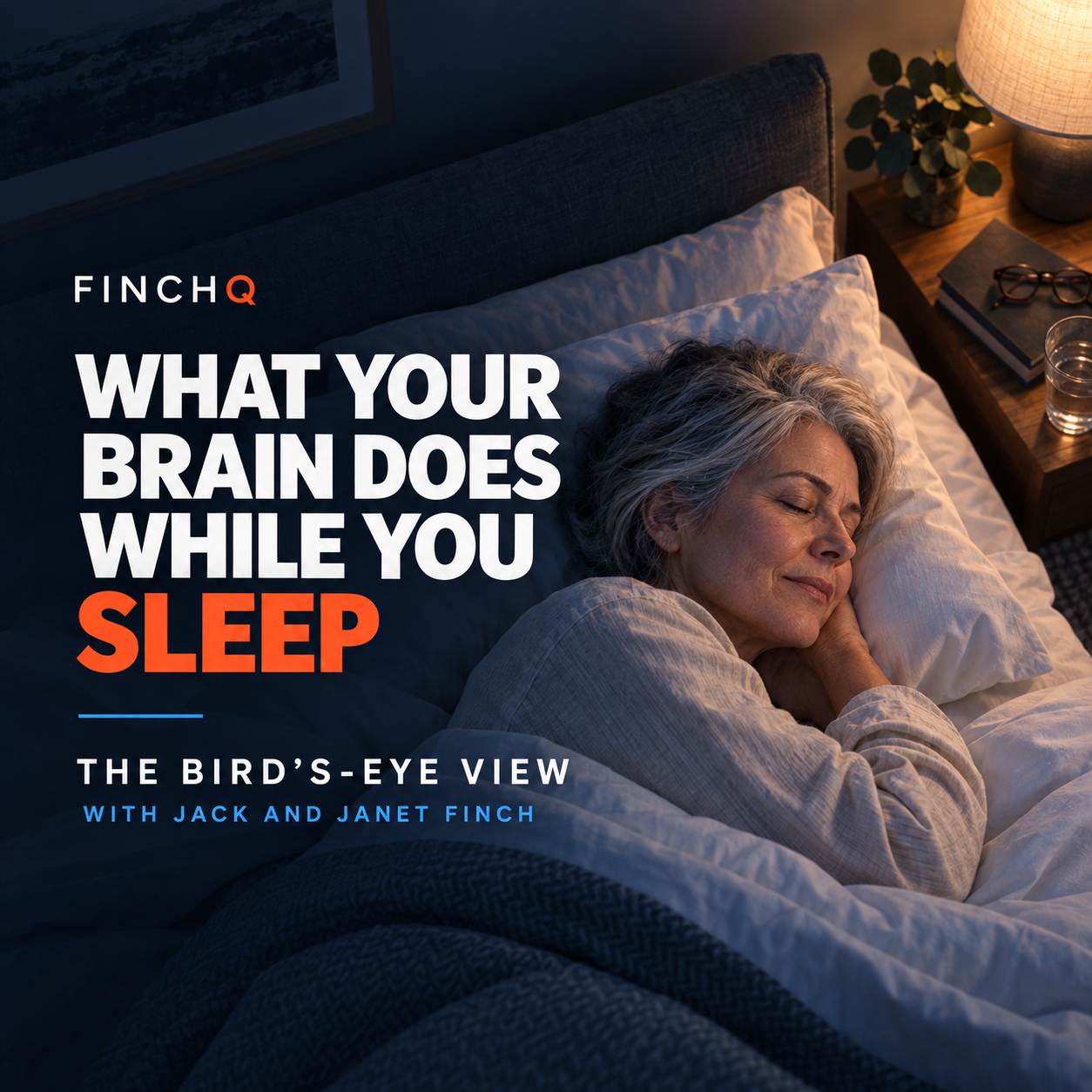 S3 E38 - What Your Brain Does While You Sleep