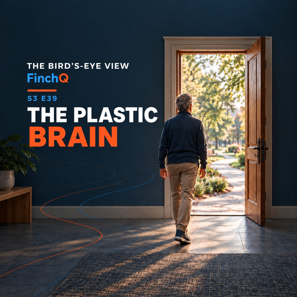 S3 E39 - The Plastic Brain