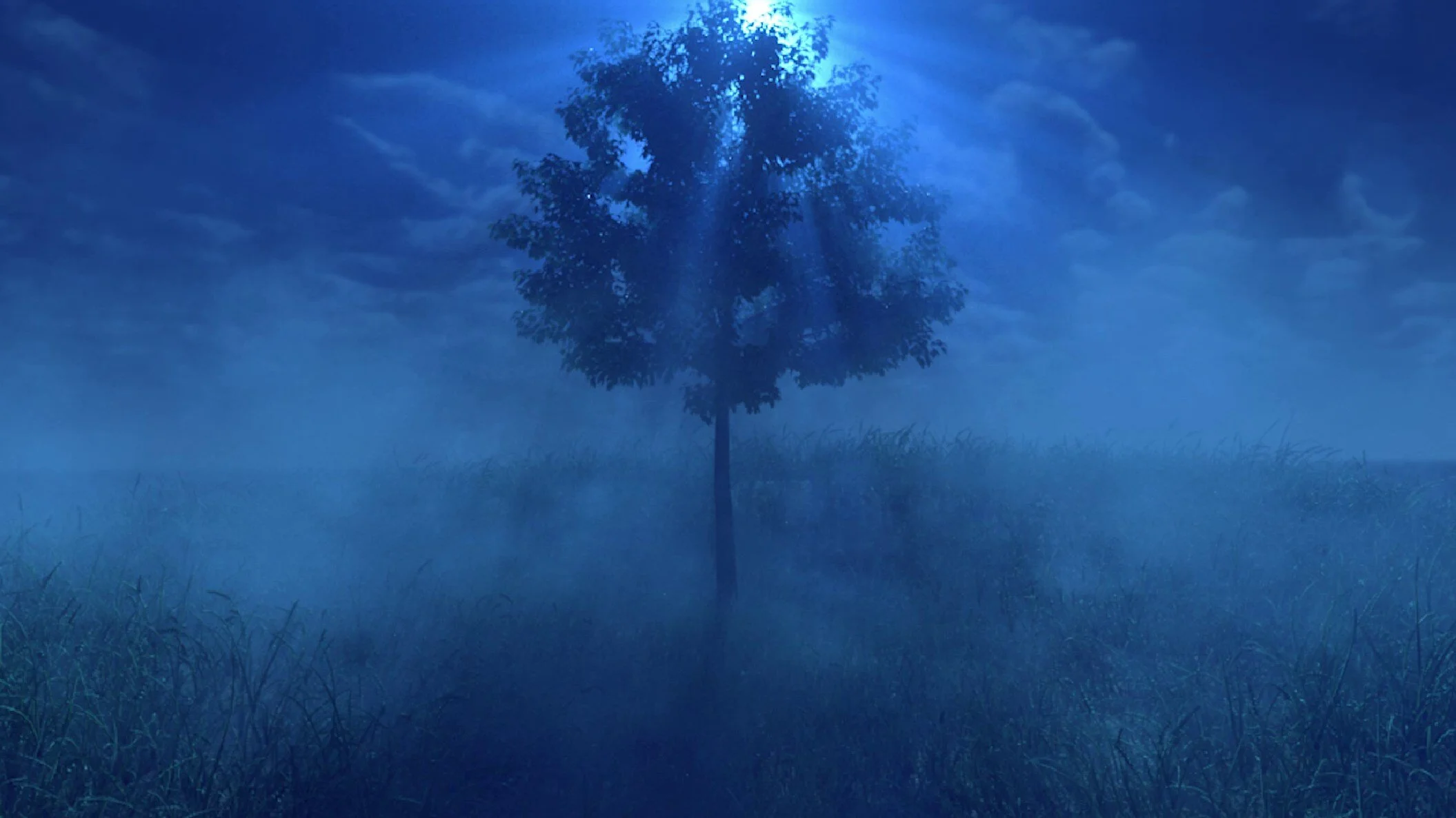 Thesis Project: Tree Of Light Shot