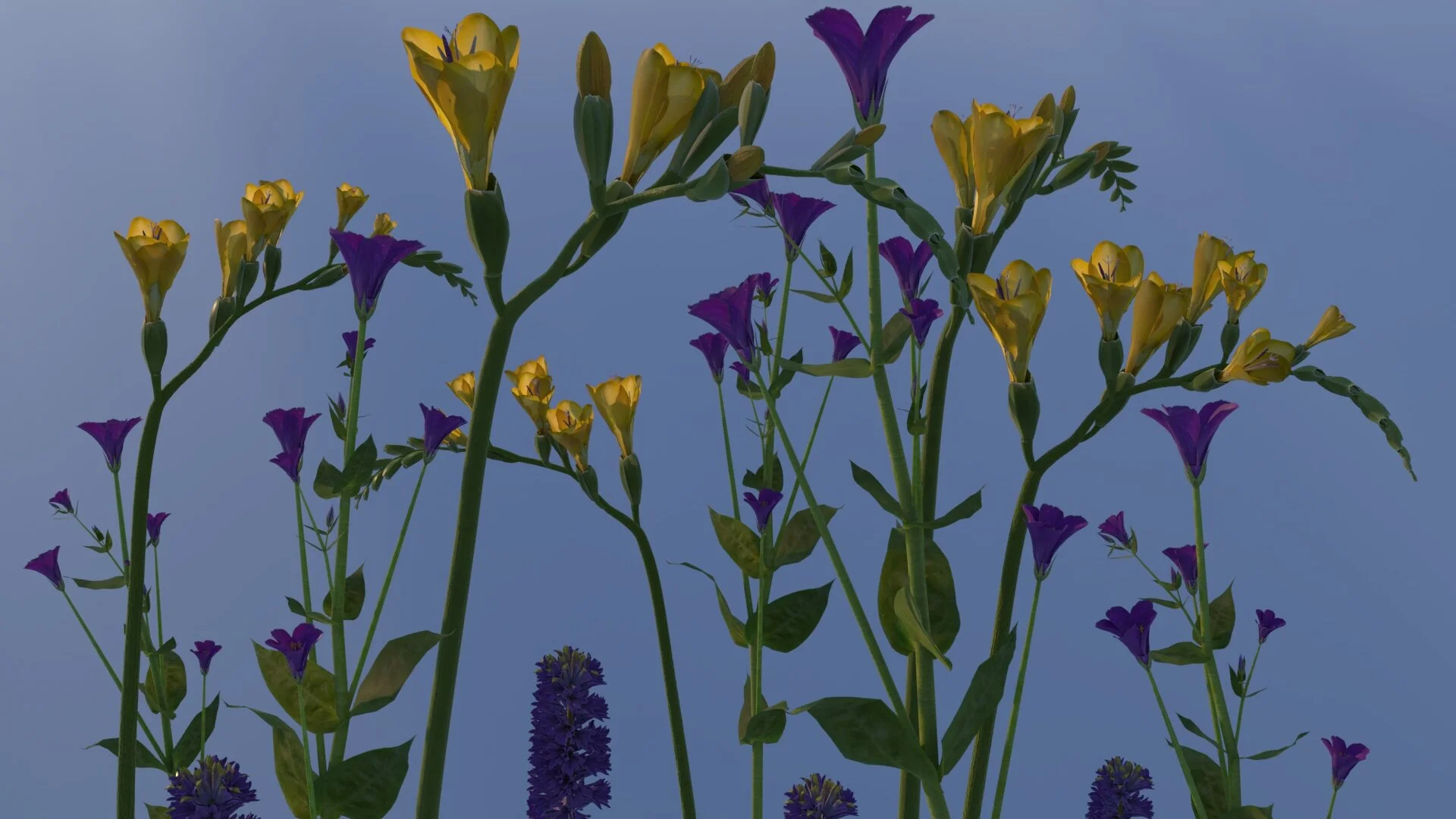 Texturing The Flowers Procedurally