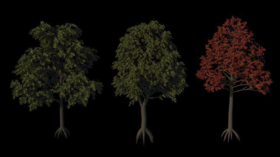 Adding Textures To The First Set Of Trees