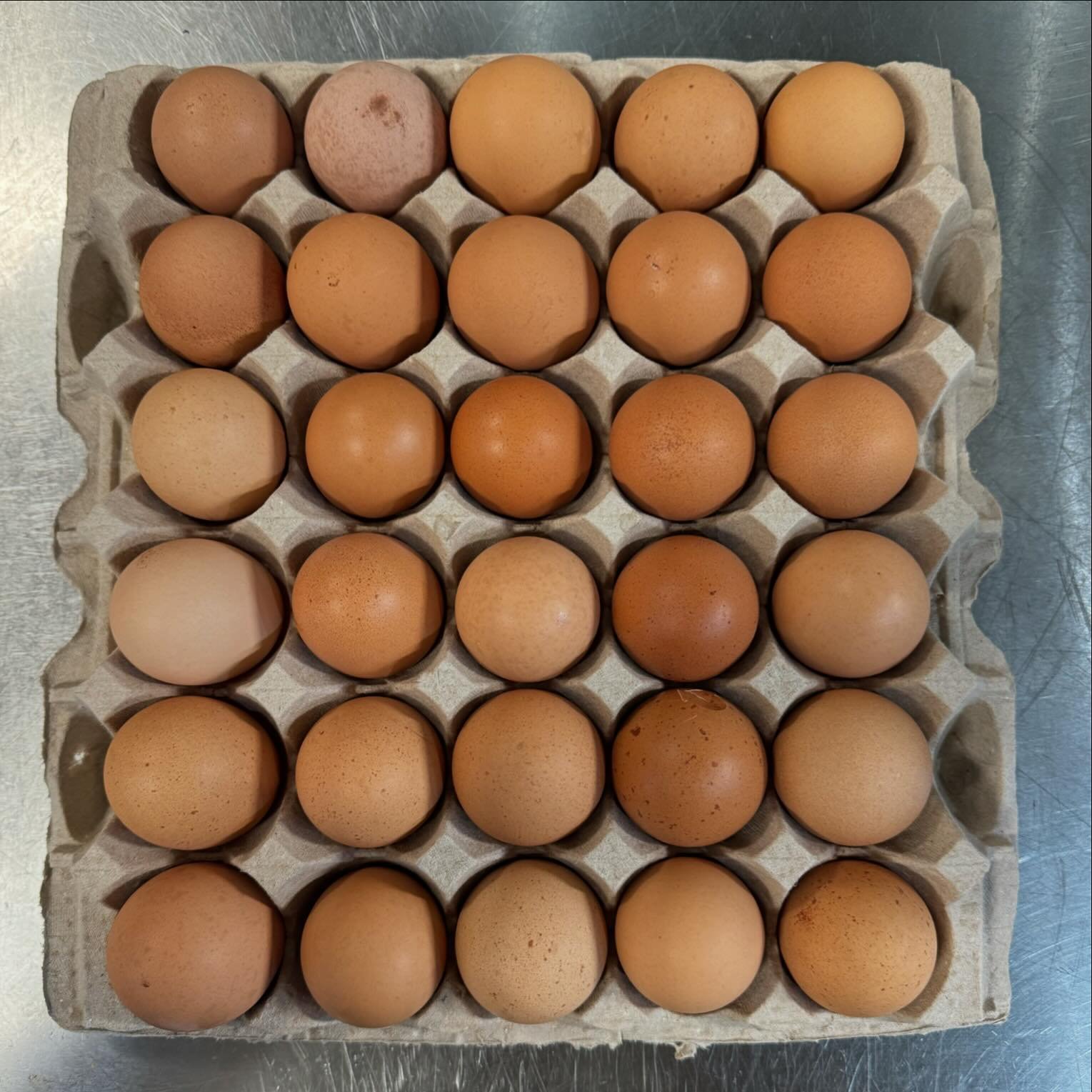 Welcome our new edition&hellip;
Eggs from @sequatchiecovefarm 😍