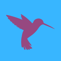 Hummingbird Yoga &amp; Meditation