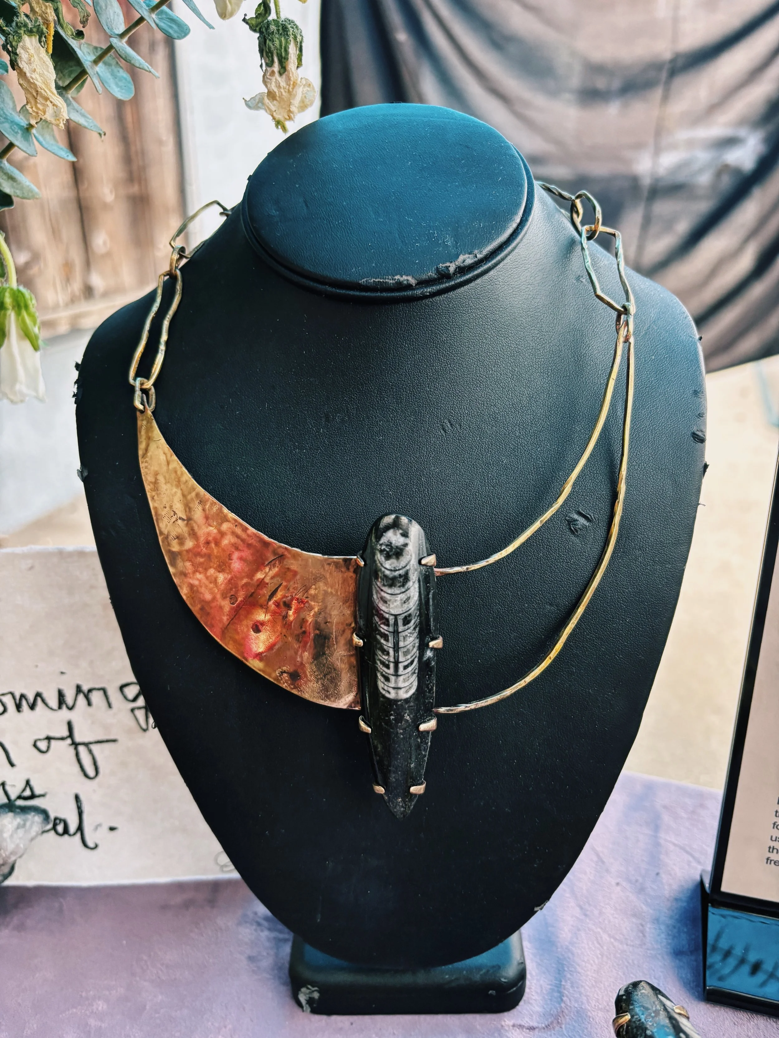 orthoceras neckplate