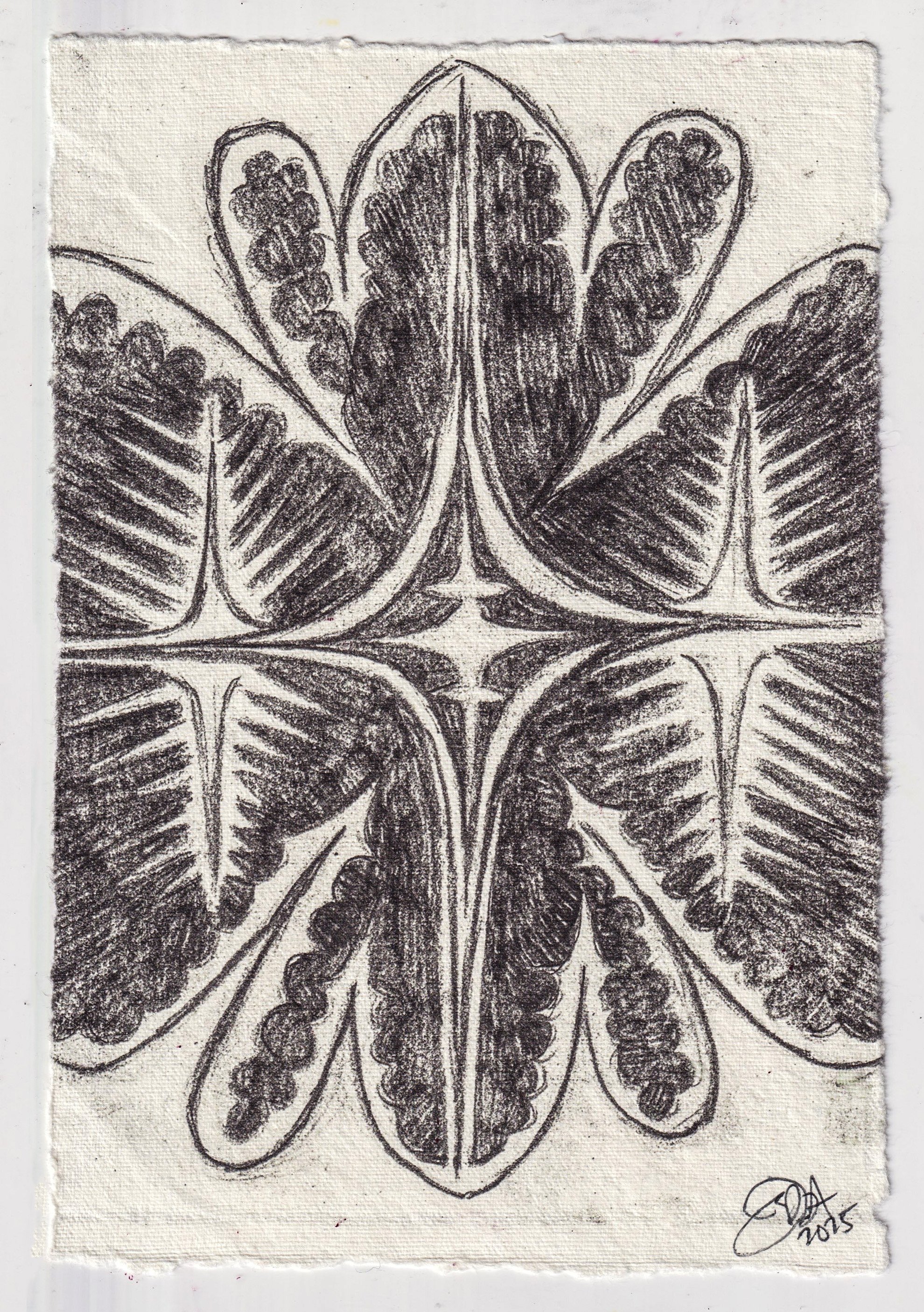 "altar 01" print (2025)