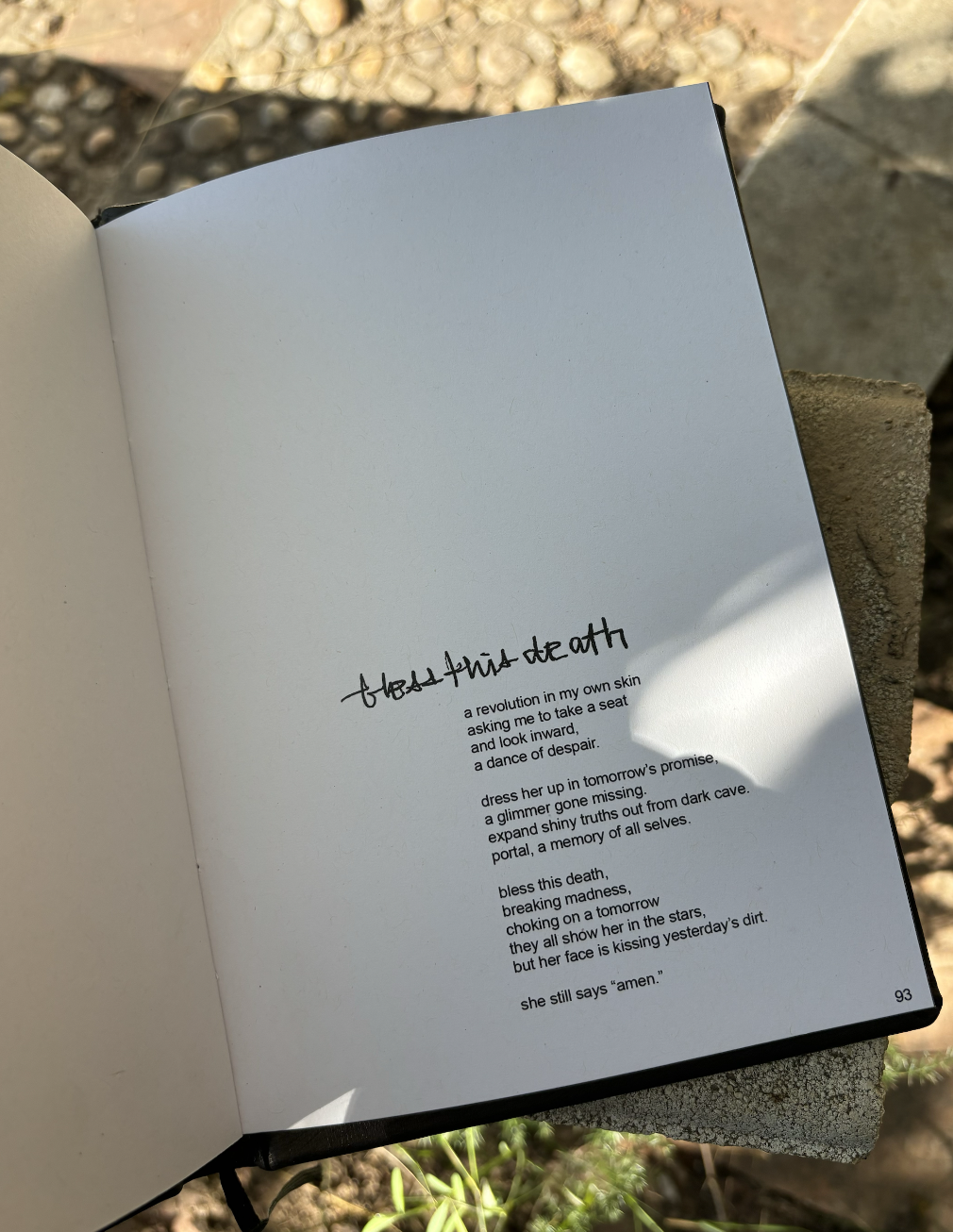 Screenshot 2025-09-01 at 1.45.49 PM.png (Copy)