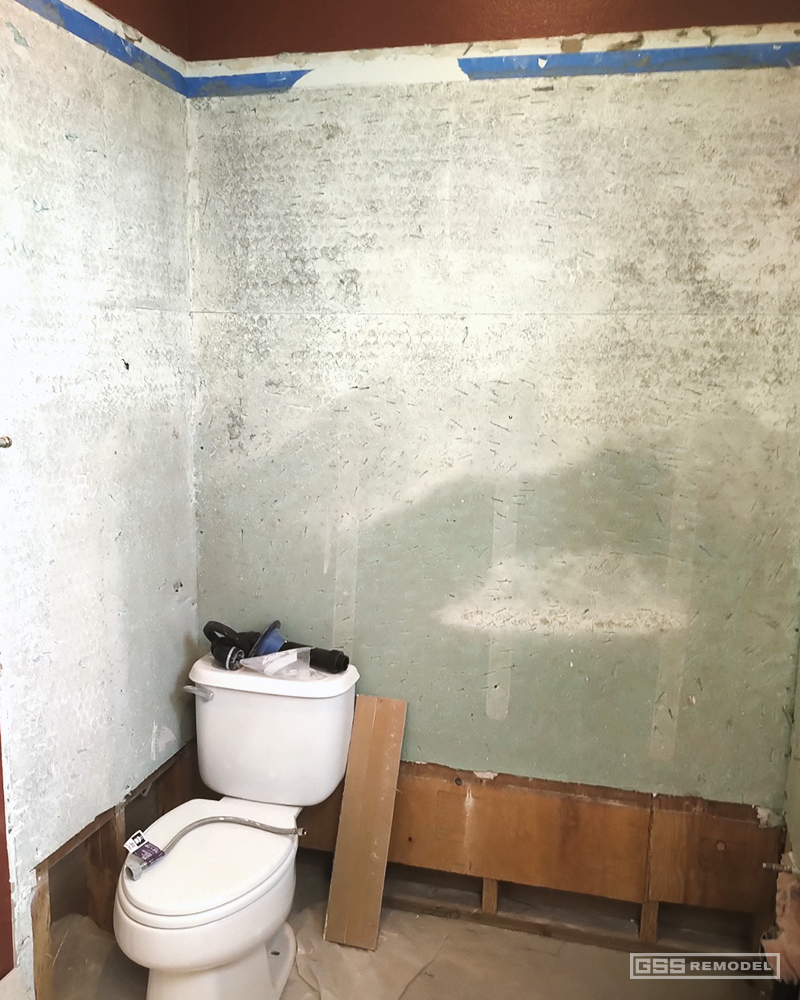 Natomas Guest Bath - Before/During