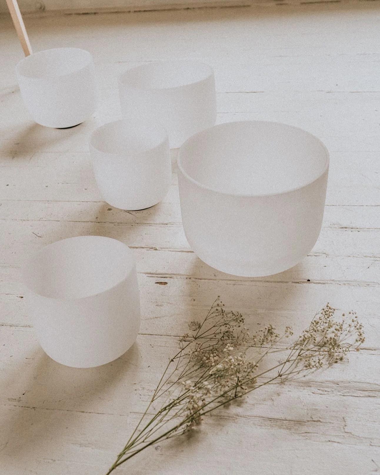 So excited to resume my virtual/in-person this upcoming week 🌿

DM or visit the link in my bio to schedule a 1:1 session or group/corporate events with me starting this Wednesday, July 21st!