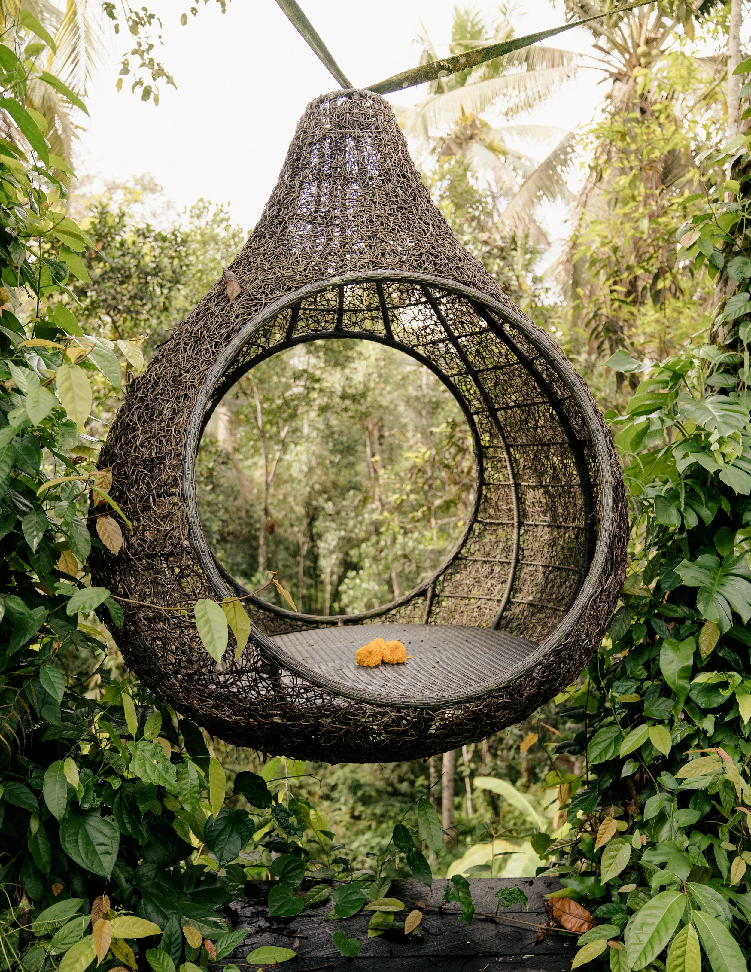 13. Meditation.jpg