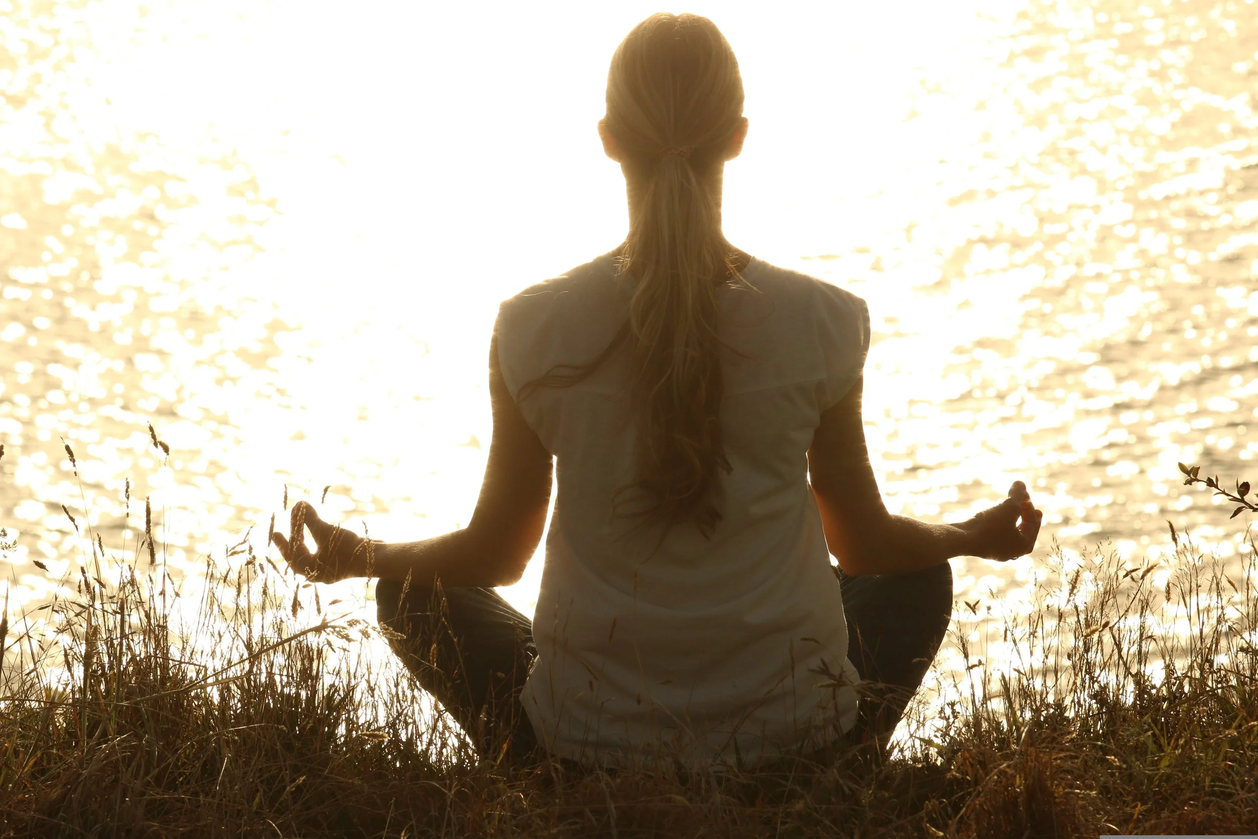 Winter Solstice: A Sacred Pause with Rachel Foster