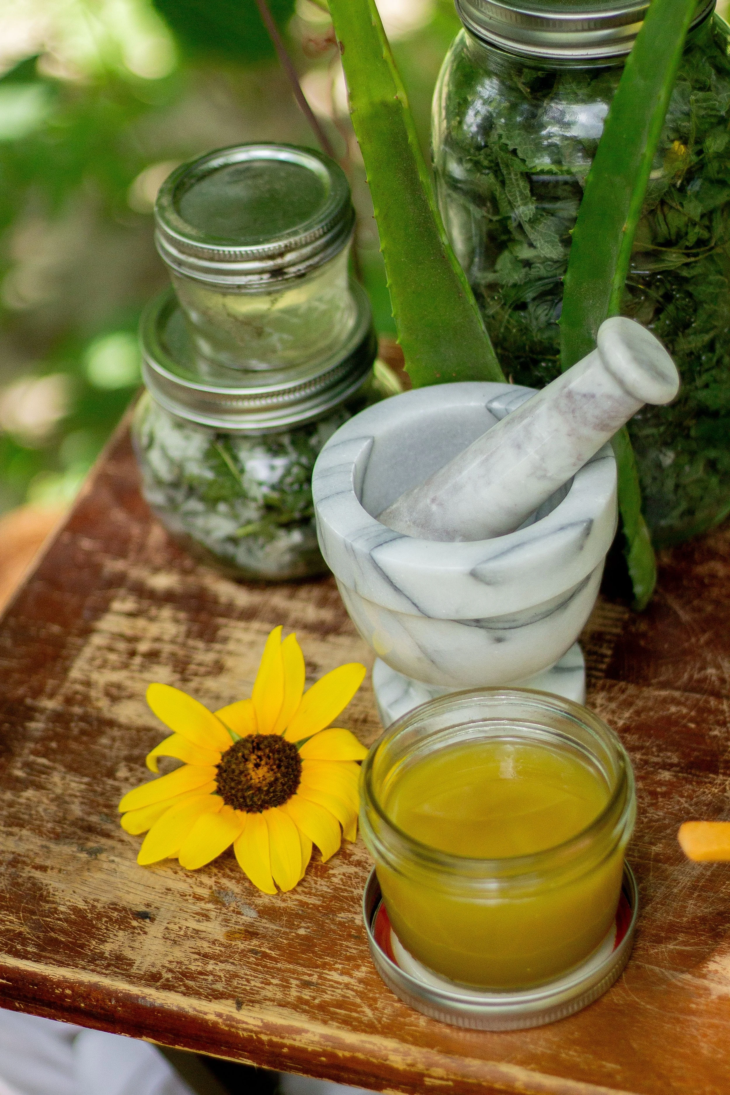 Herbal Home Remedies Workshop with Lidija Mustica