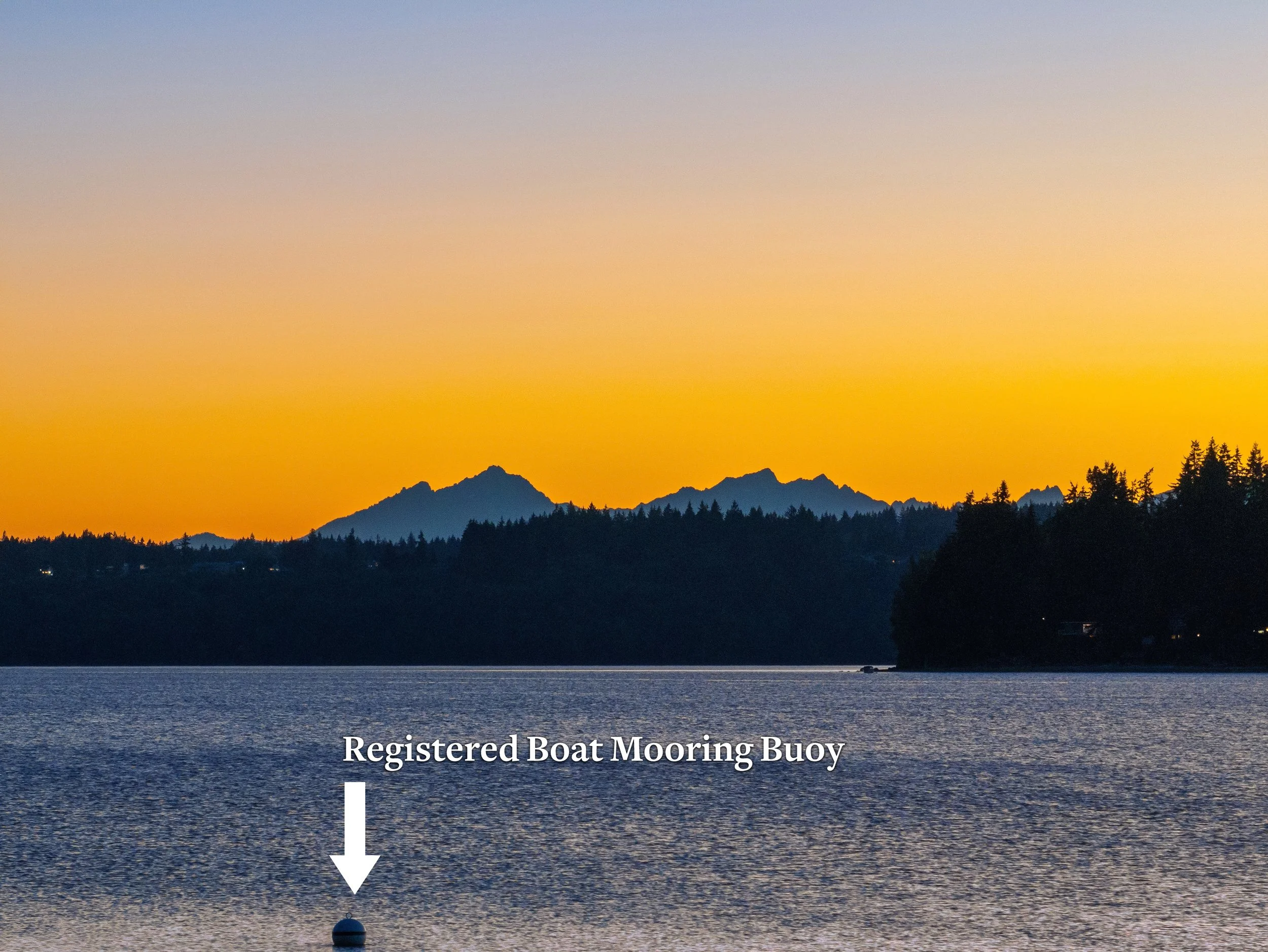 DV6 - Print_08_marked up.jpeg