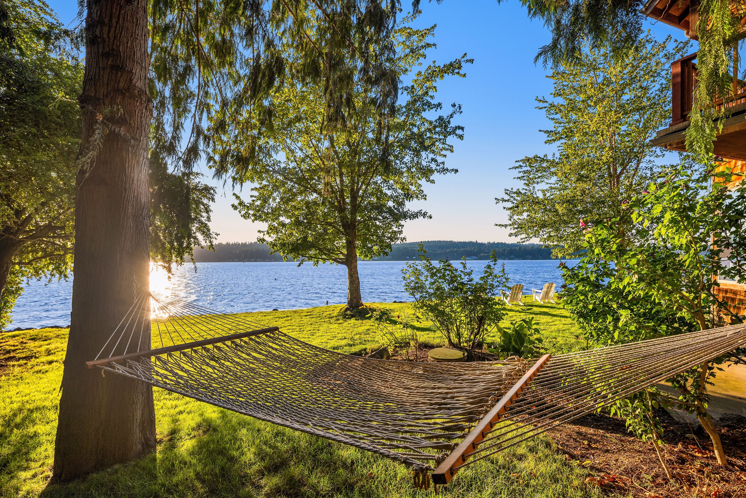 DV35 - Print_52b.jpeg