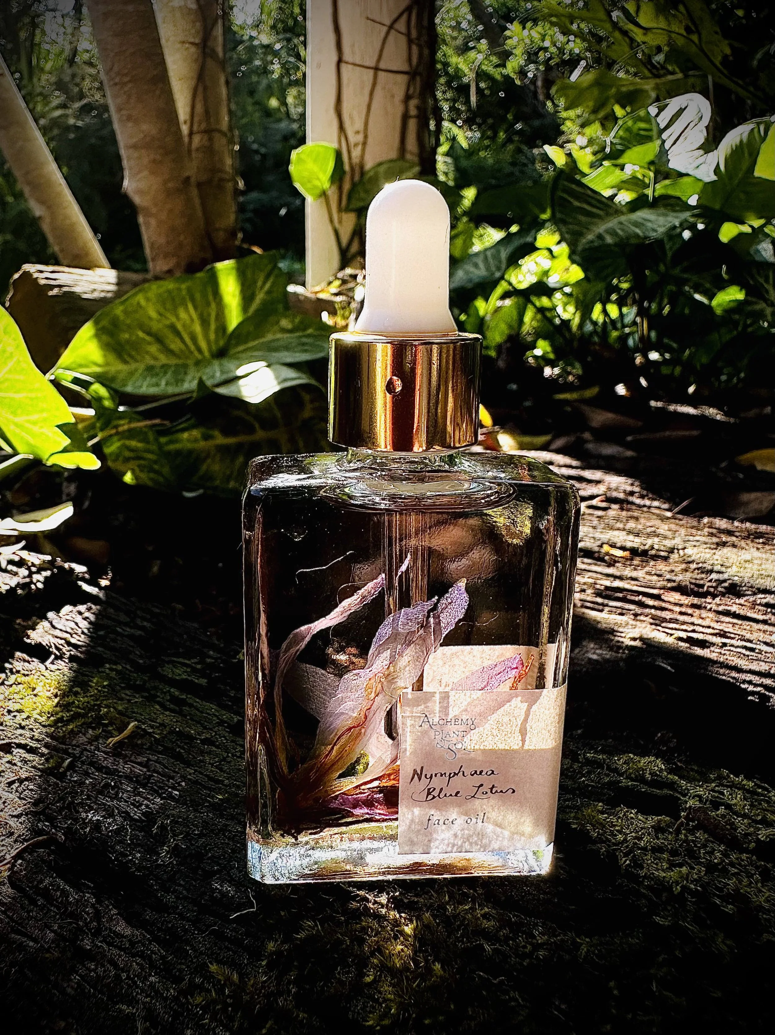 Nymphaea The Blue Lotus Face Oil — Alchemy of Plant & Sol